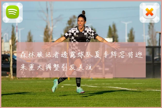 森林狼记者透露球队夏季阵容将迎来重大调整引发关注