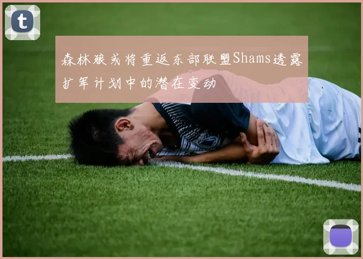 森林狼或将重返东部联盟Shams透露扩军计划中的潜在变动