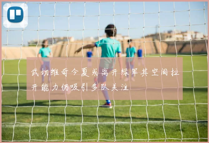 武切维奇今夏或离开绿军其空间拉开能力仍吸引多队关注
