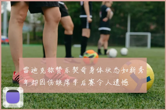 雷迪克称赞东契奇身体状态如新秀年却因伤缺席季后赛令人遗憾